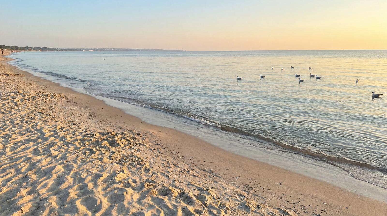Beach3.png